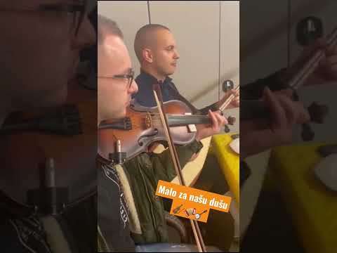 Tomo, Ivo i Krunoslav🎼