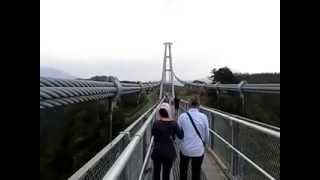 preview picture of video 'Kokonoe “Yume” Suspension Bridge, 九重梦吊桥'