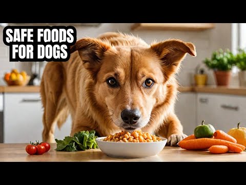 Safe Foods You Can Feed Your Dog