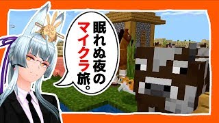 眠れぬ夜のマイクラ旅🦊6夜目。