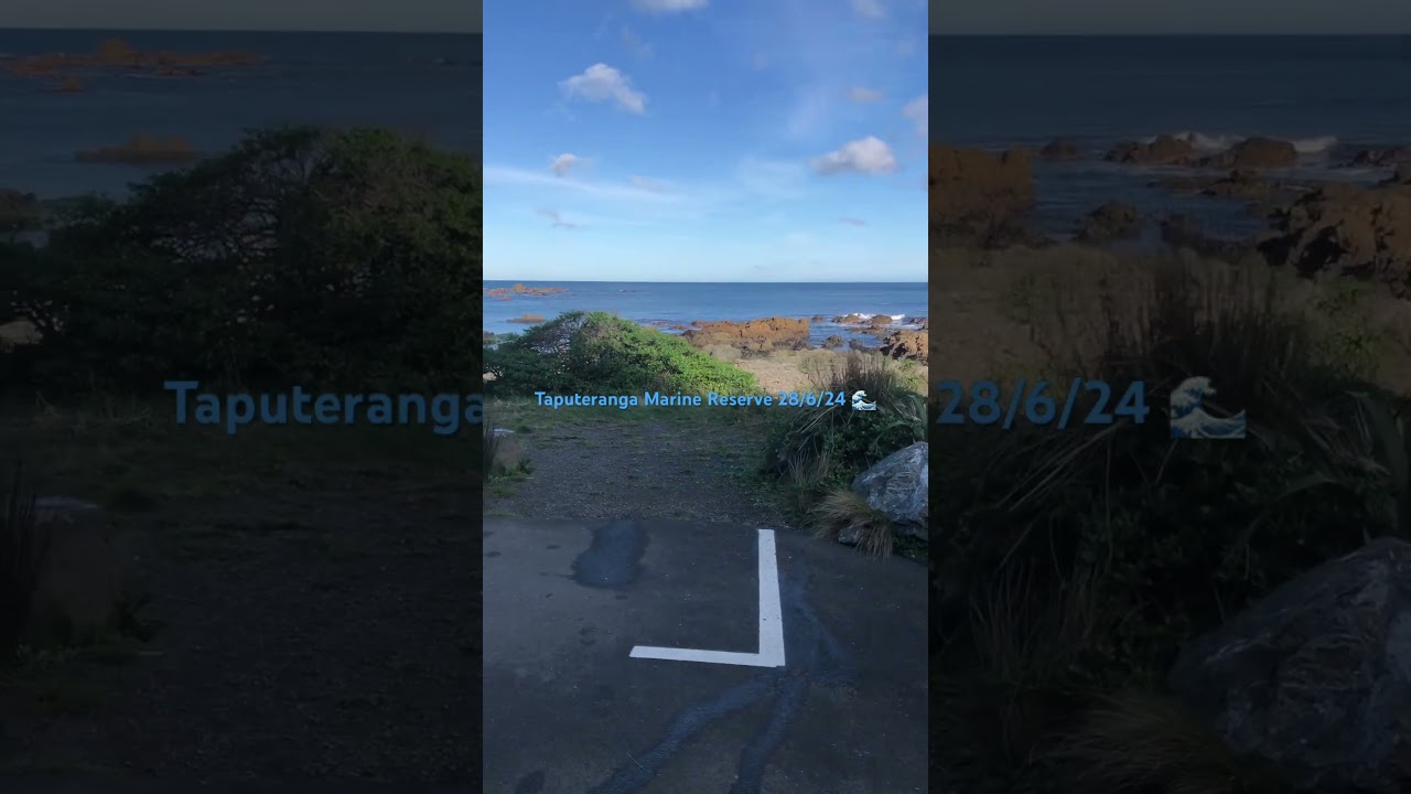 YouTube Short thumbnail