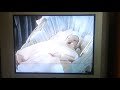 Opening To Heartbreak Hotel 1989 VHS