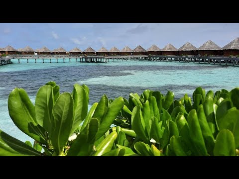 Baros Maldives. Luxury Resort Review