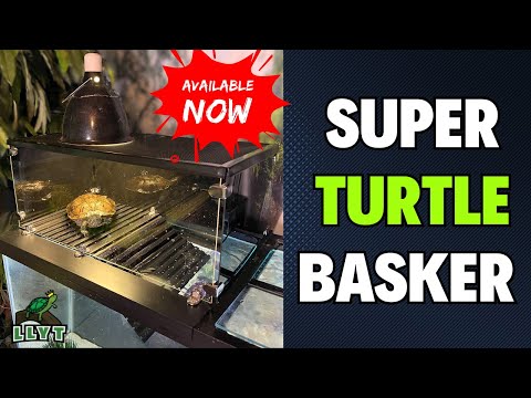 Super Turtle Basker – Ultimative Lösung zum Sonnenbaden für Schildkröten