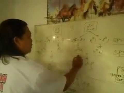 Tips Metode Rahasia Agar ayam kebal terhadap penyakit AI dan ND
