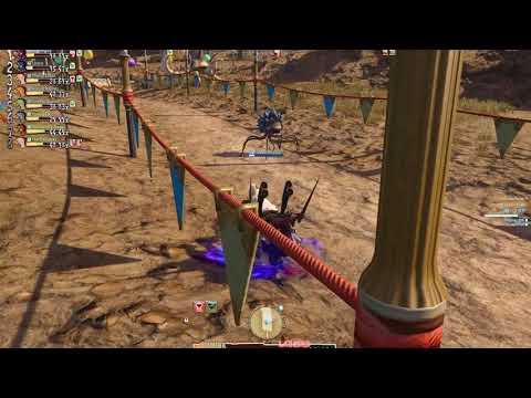 Final Fantasy 14 R300 Chocobo Race for Asmon