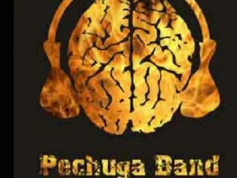Pechuga Band - Estado de Derecho (LIVE)