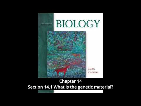 Biology - Chapter 14, DNA: The Genetic Material