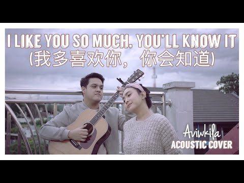 I Like You So Much, You’ll Know It (我多喜欢你，你会知道) - A Love So Beautiful OST (English Cover)