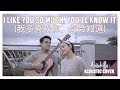I Like You So Much You Ll Know It 我多喜欢你 你会知道 A Love So Beautiful OST English Cover
