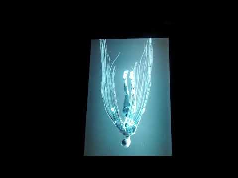 LET'S GET DIGITAL alla Strozzina  di Palazzo Strozzi a Firenze