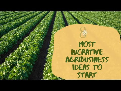 , title : '8 Most Lucrative Agricultural Business Ideas To Start In Nigeria'
