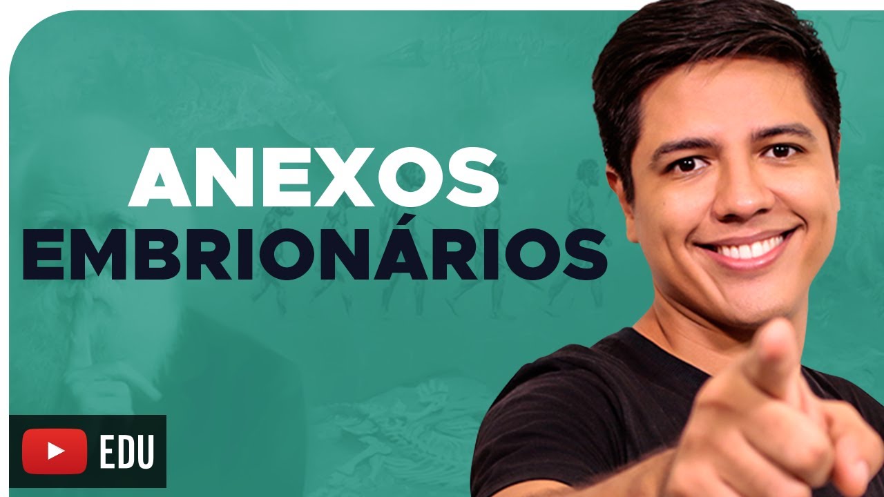 ANEXOS EMBRIONÁRIOS - EMBRIOLOGIA - Prof. Kennedy Ramos