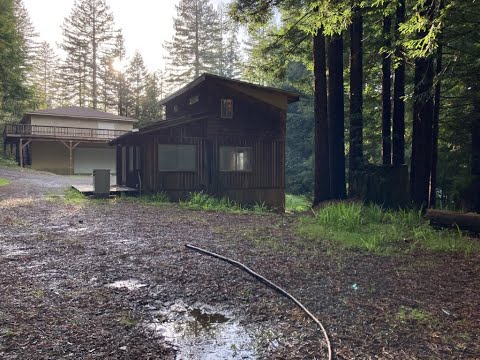 Gated, Pet-Friendly Cabin With 1.3 Acres Of Wooded Views property video
