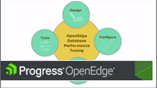 Designing an OpenEdge Database for Performance 