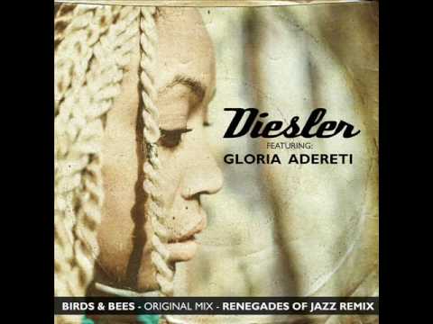 Diesler ft. Gloria Adereti - Birds & Bees [Renegades Of Jazz 'Honey Pot Riot' Remix]