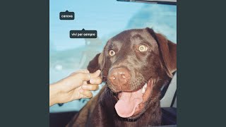 Ho Capito Che Non Eravamo