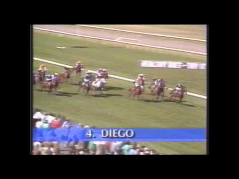 1991 VRC Spring Carnival _ NZ Melb Cup Horses