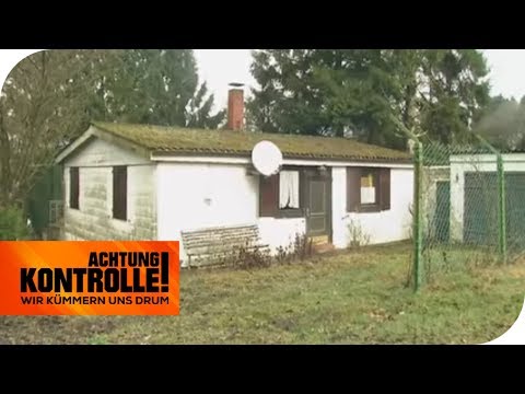 Atopitscheski die Hautentzündung die Quaddeln Die Suche des Grundes der Schuppenflechte