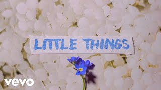 Cover art for Little Things