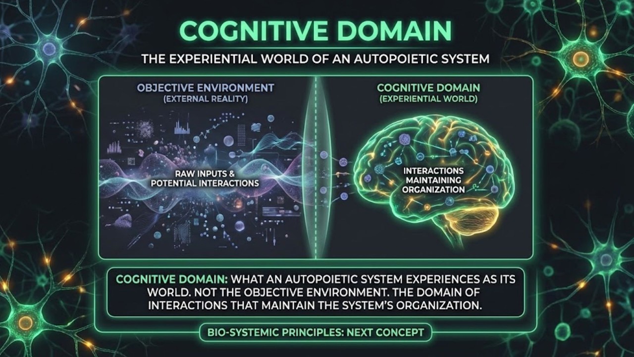 4 | Cognitive Domain: What Counts as Knowing | TOK