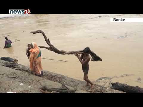 जोखिम मोलेर नदी किनारमा दाउरा निकाल्ने होड - NEWS24 TV