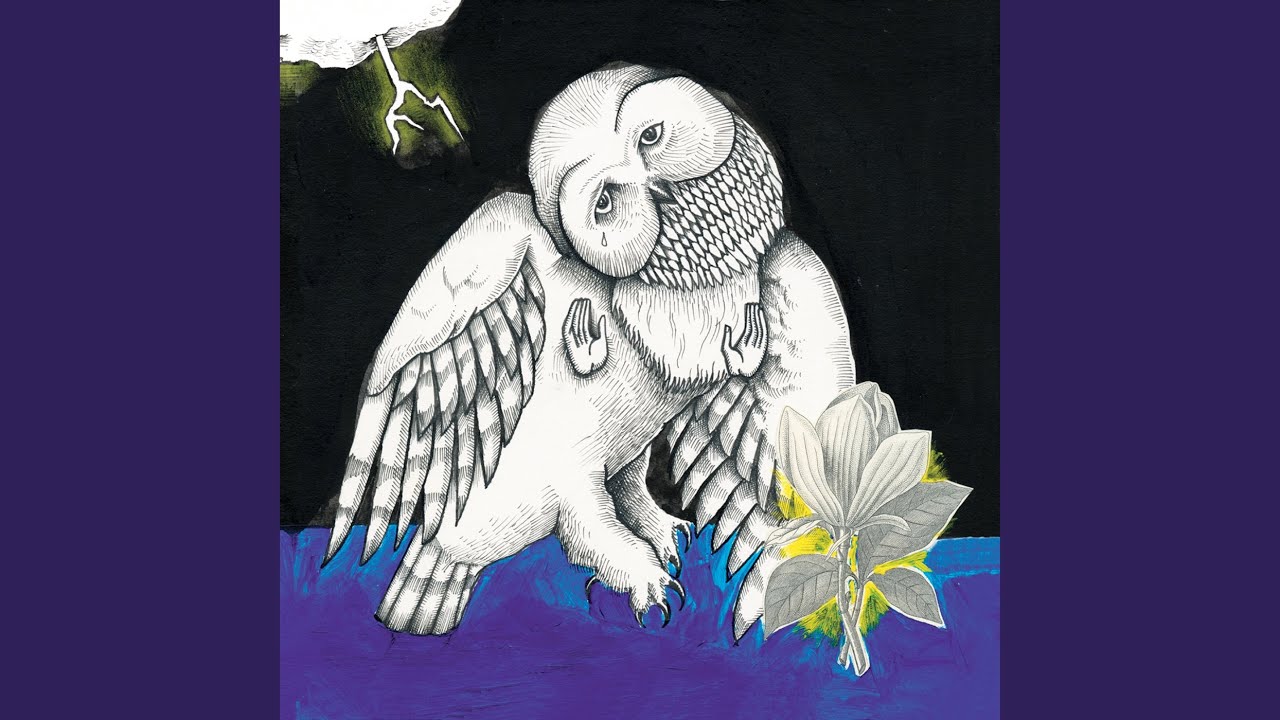 Songs: Ohia - La carriera musicale dell'artista americano