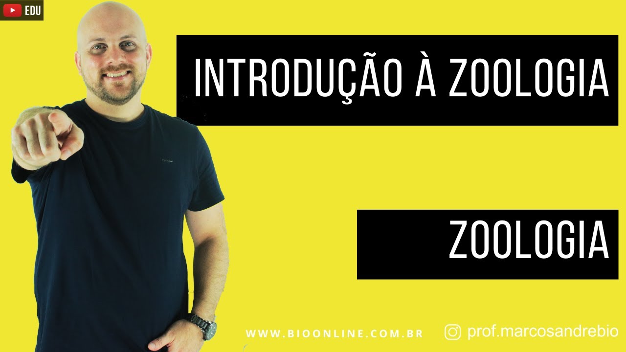 ZOOLOGIA | INTRODUÇÃO AO REINO ANIMALIA (METAZOA)