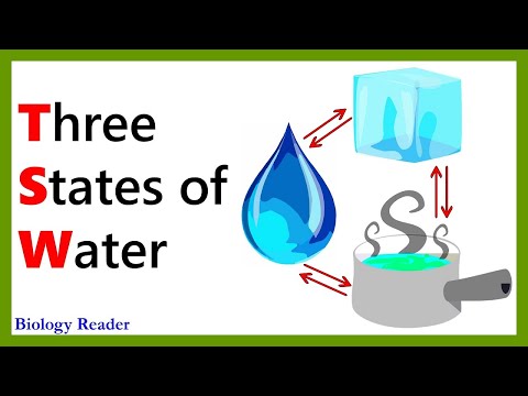 Physical State of Water - Types, Video and Phase Transition - Biology Reader