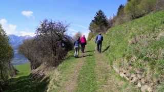 preview picture of video 'Urlaub im Südtirol'