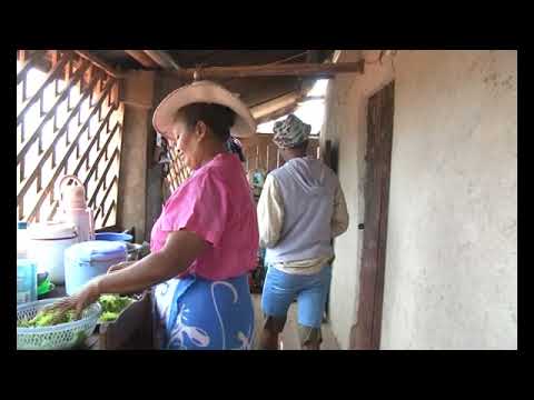 Bevanitika - HANAMBADY AN'I BEBE