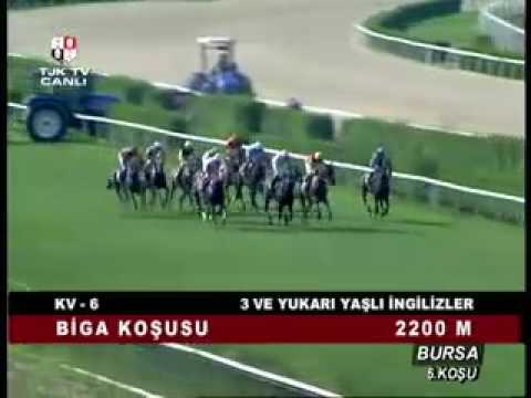 TOLİKOPA- (KV-6) 2014