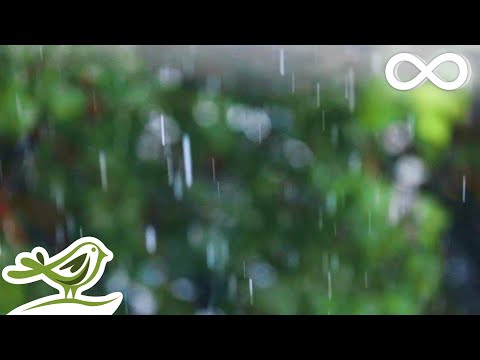 Relaxing Music & Soft Rain Sounds - Peaceful Piano Music for Sleep & Relaxation