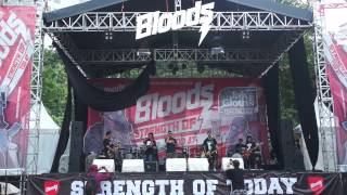 TRUE NORTH - CEASE (BAD RELIGION COVER)