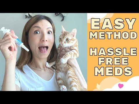 How To Feed A Cat Medicine (in Paste Form)