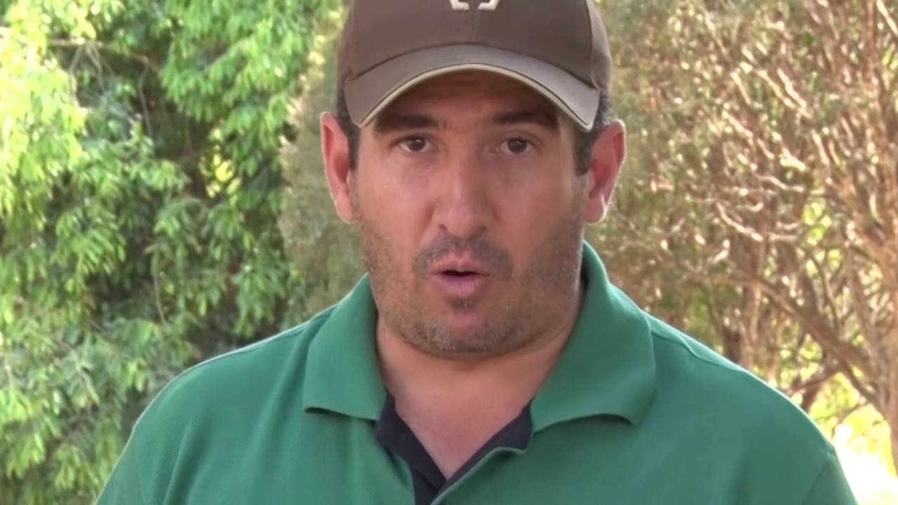 Dicas de Sal Mineral Para os Cavalo