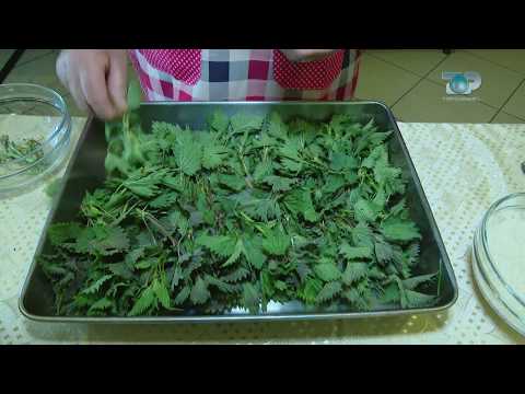 Ne Shtepine Tone, 10 Prill 2018, Pjesa 2 - Hithra