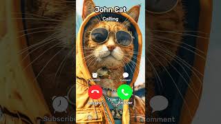 John Cat Calling You at 3 am... 🤣 Mega Cat #challenge #funny