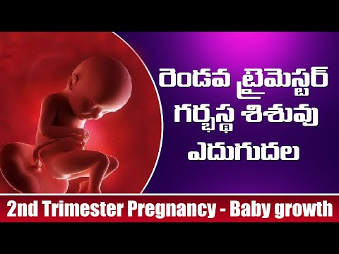 ప్రెగ్నెన్సీ రెండవ ట్రైమెస్టర్ - శిశువు ఎదుగుదల - exclusive pregnancy & child care channel