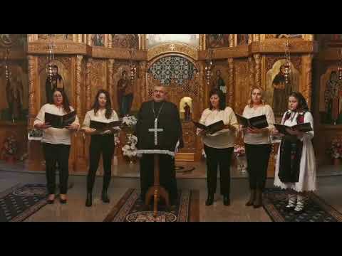 Pr. Ovidiu Bocșan - Dacă inima ți-e mare