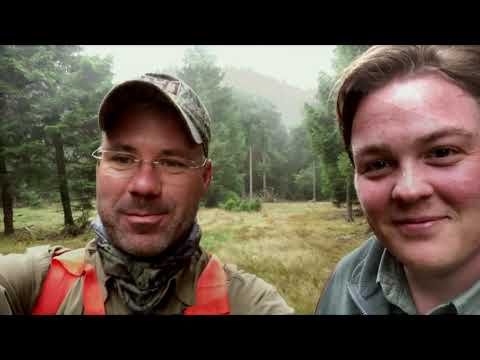 Jagd in Thüringen, im Märchenwald auf Rothirsch und Keiler - Trailer HOD