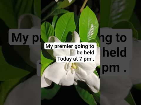 all about gardenia. #gardenia #flowers #outdoorplants #shortsvideo #viralshorts