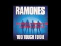 Ramones-I'm not afraid of life- Subtitulada