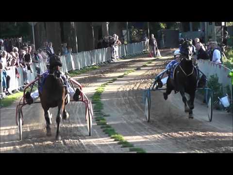 Samenvatting Kortebaan Roden 2015