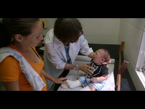 In Brazil, a race to solve the mysteries of Zika virus