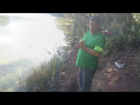 DIA DE ALEGRIA EM SANTA CECÍLIA, SC! 🎣🐮 PAZ DO CAMPO E BOA PESCARIA NA NOSSA TERRA LINDA!