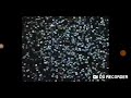 Opening To Finding Nemo 2003 DVD Disc 1