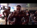 Roelly
