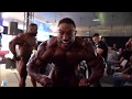 Roelly 