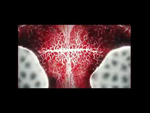 AMV   BERSERK Guts antes e depois do eclipse